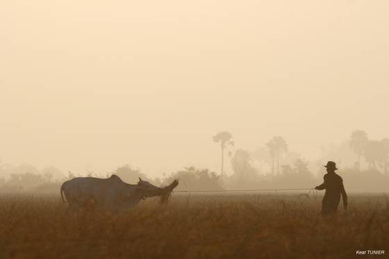 voyage safari photo Cambodge Asie 2