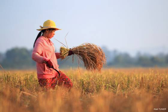 voyage safari photo Cambodge Asie 3