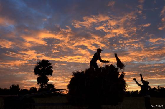 voyage safari photo Cambodge Asie 4