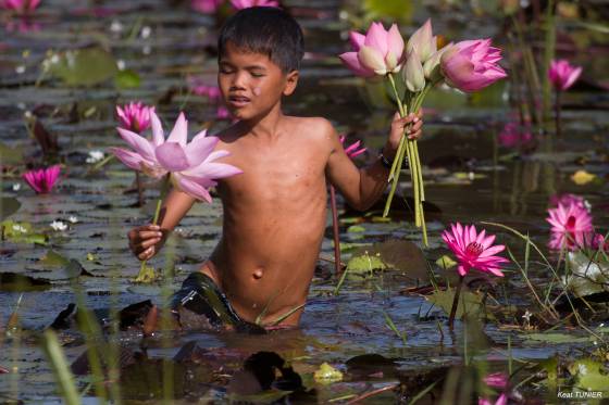 voyage safari photo Cambodge Asie 17