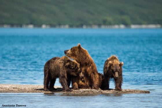 Voyages et stages photo  en Russie 5