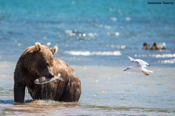 Voyages et stages photo  en Russie 8