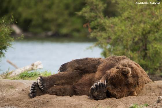 Voyages et stages photo  en Russie 4