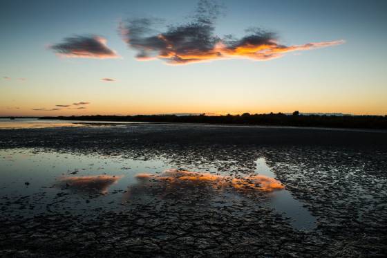 Voyages et stages photo en Camargue 25