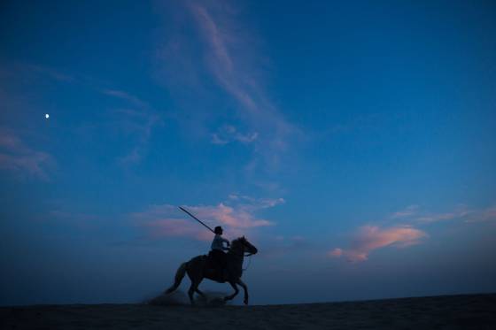 Voyages et stages photo en Camargue 37