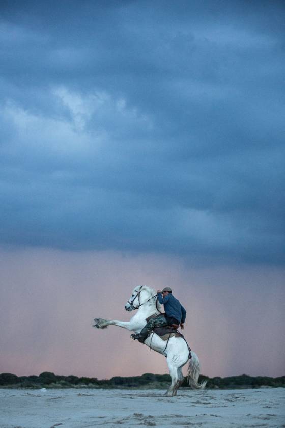 Voyages et stages photo en Camargue 21