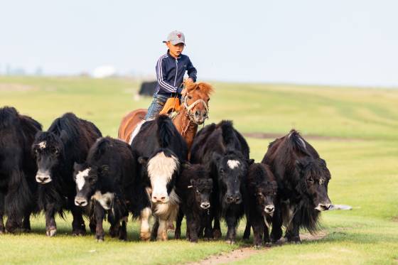 Voyages et stages photo en Camargue 26