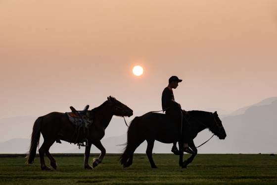 Voyages et stages photo en Camargue 16