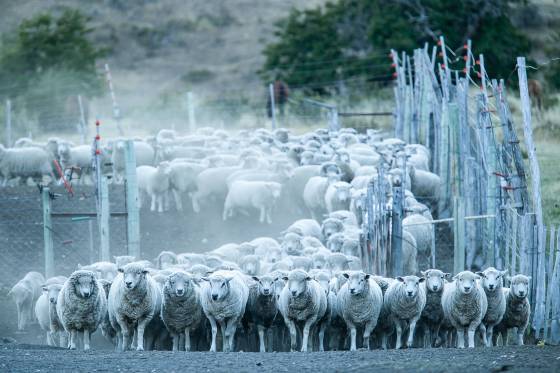 Voyages et stages photo en Camargue 5