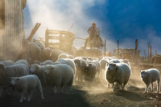 Voyages et stages photo en Camargue 4