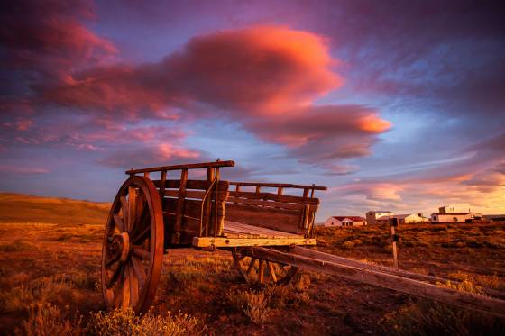 Voyages et stages photo en Camargue 13