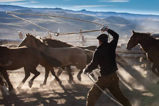 Voyages et stages photo en Camargue 1