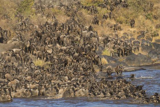 Voyages et stages photo en Afrique 16