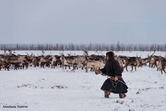 Voyages et stages photo  en Russie 32