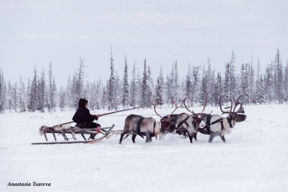 Voyages et stages photo  en Russie 33